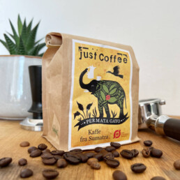 Friske kaffeb&oslash;nner fra Indonesien (Sumatra)